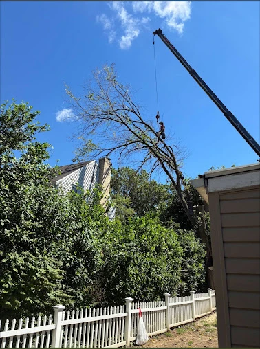 Crane lifting a large tree section over a home during removal in the North Hills of Pittsburgh, PA