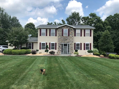 Stone colonial with a freshly cleaned lawn after tree work, McCandless, PA area