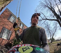 Triple T Tree Care climber smiling mid-job in a Pittsburgh, PA backyard