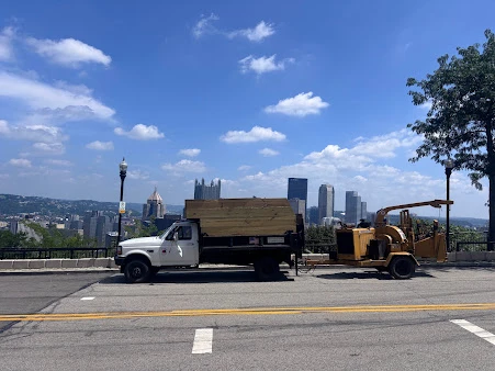 Loaded log truck with the downtown Pittsburgh, PA skyline behind it